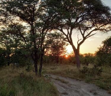 Maun Other | Acacia Camping