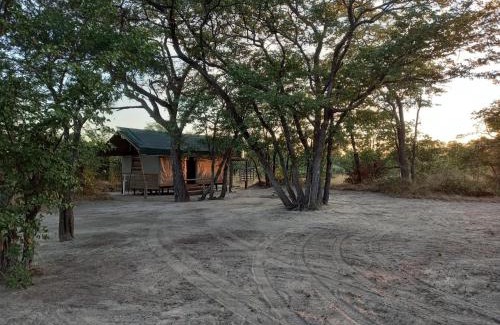 Maun Other | Acacia Camping