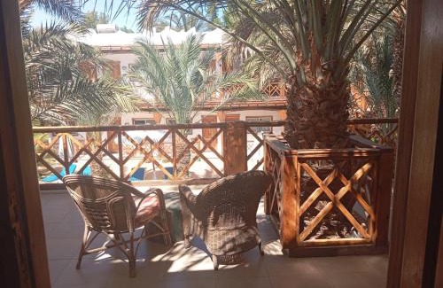 Dahab Resort | Acacia Dahab Hotel