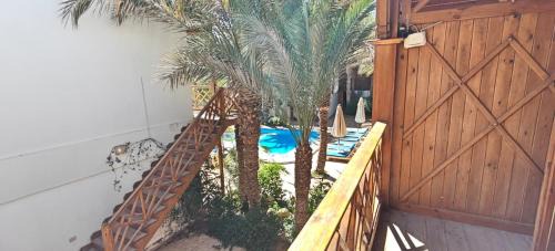 Dahab Resort | Acacia Dahab Hotel