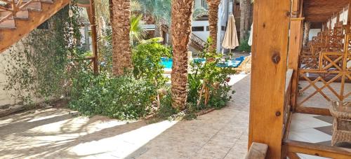 Dahab Resort | Acacia Dahab Hotel