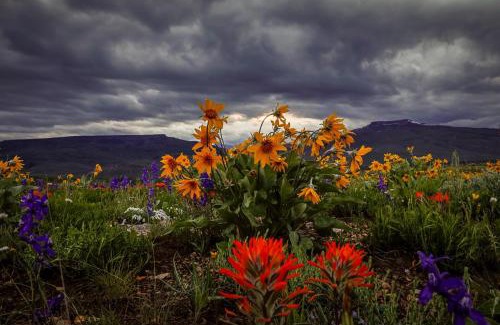 Crested Butte House | Academy Place | Mariposa