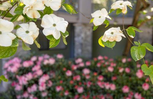 Burnaby Hotel | Accent Inns Burnaby