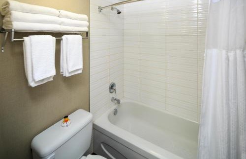 Burnaby Hotel | Accent Inns Burnaby