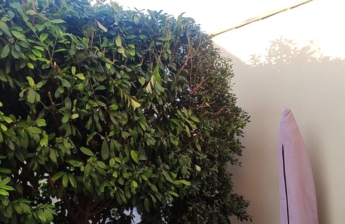 Vinon-sur-Verdon Apartment | Accommodation at the gates of the Gorges du Verdon