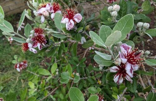 Fiano Romano Apartment | Accomodation in villa with pool & parking near Rome