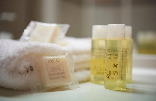 Saint-Barthelemy-d'Anjou Hotel | ACE Hôtel Angers