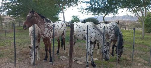 Erongo Cabin | Achab chalets