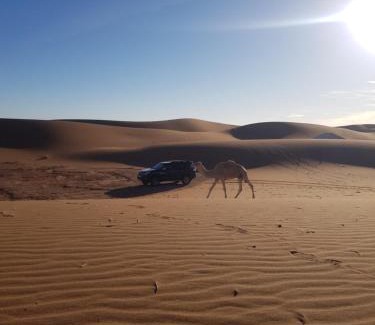 M'Hamid El Ghizlane Other | Across Sahara