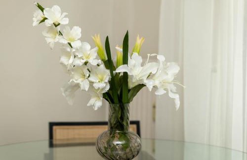 Courcouronnes Apartment | Adam Suites