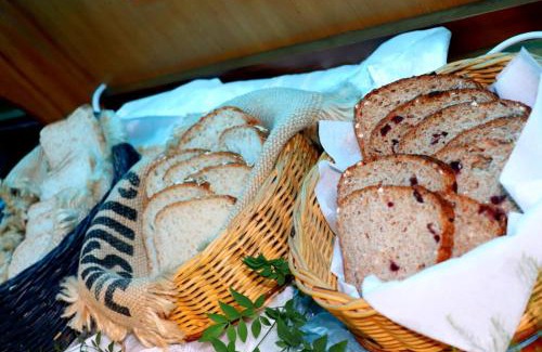 Oudtshoorn Bed & Breakfast | Adley House