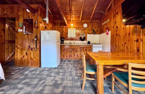 Trout Lake Cabin | Adorable Cabin #4 at Twin Cedars Resort in Trout Lake, MI with row boat and AC