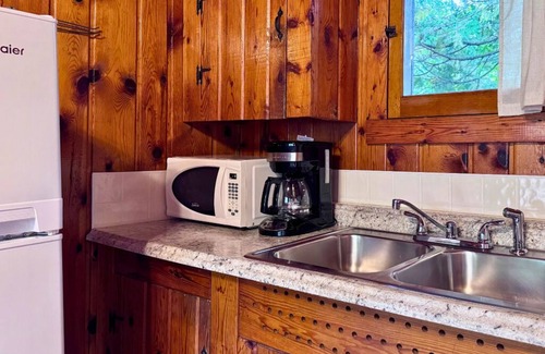 Trout Lake Cabin | Adorable Cabin #4 at Twin Cedars Resort in Trout Lake, MI with row boat and AC