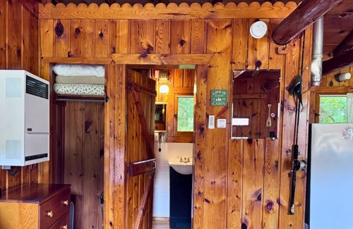 Trout Lake Cabin | Adorable Cabin #4 at Twin Cedars Resort in Trout Lake, MI with row boat and AC