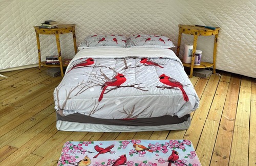Siren Cottage | Adorable, private GeoDesic Dome in Siren