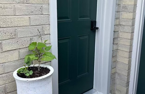 Guelph Apartment | Adorable & Whimsical Brand New, 1 Bedroom Garden Bachelor Suite