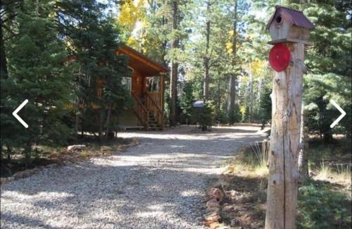 Meadow View Heights House | Adventure Awaits 3King Bed,2Bath Log Cabin in heart of Duck Creek Village!