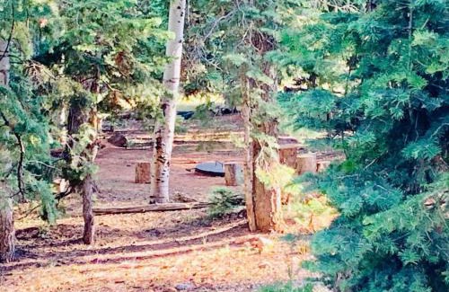 Meadow View Heights House | Adventure Awaits 3King Bed,2Bath Log Cabin in heart of Duck Creek Village!
