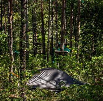 Castellane Other | Adventure Forest