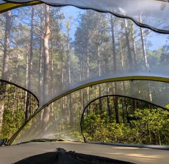 Castellane Other | Adventure Forest