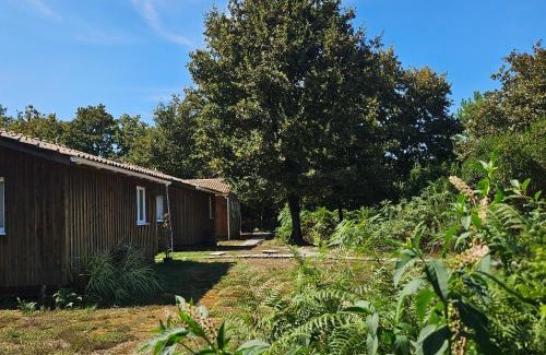 Gastes Ski Chalet | AE village