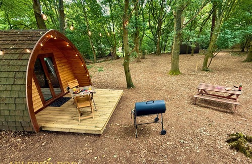 West Stow Cabin | Aelfred Pod - in a calm woodland setting- ready for glamping?