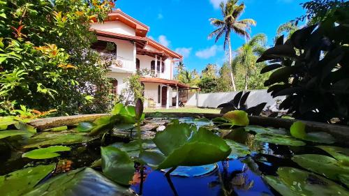 Tangalle Bed & Breakfast | Aetos Wellness - Tangalle