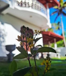 Tangalle Bed & Breakfast | Aetos Wellness - Tangalle