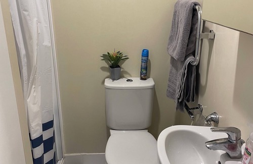 Auckland Central Business District Apartment | Affordable Apartment in the Heart of the City