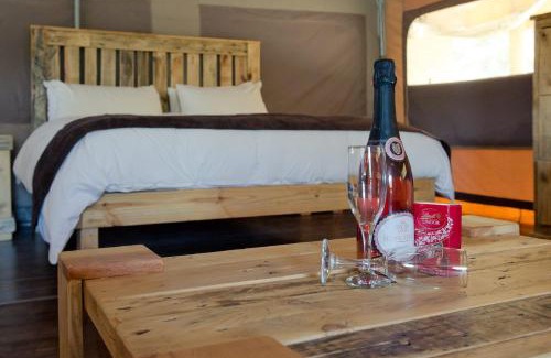 Scheepersrus Cabin | African Game Lodge