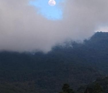 Cordoba House | Agüita con Limón Natural Health