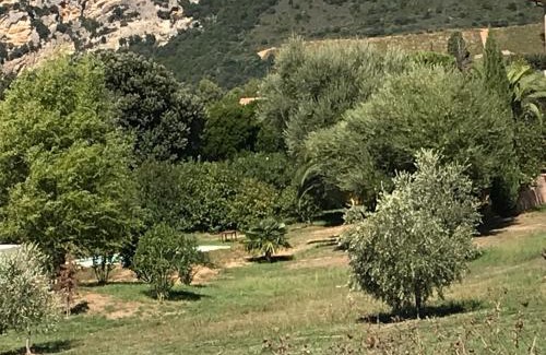 Patrimonio Apartment | Agréable Location au coeur du vignoble DOMINICI THERESE