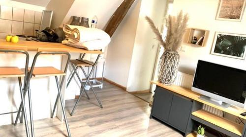 Vierzon Apartment | Agréable logement en ville a Vierzon