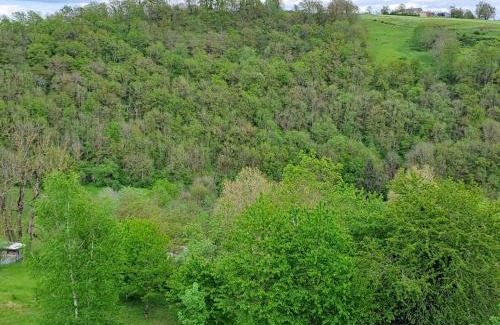 Rodez Apartment | Agréable T2 Classé 3 étoiles, refait à neuf, dans quartier calme