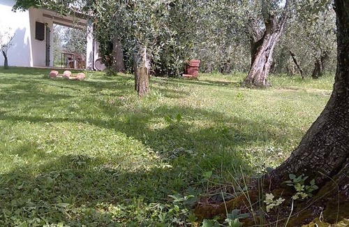 Donoratico Other | Agriturismo Fico house