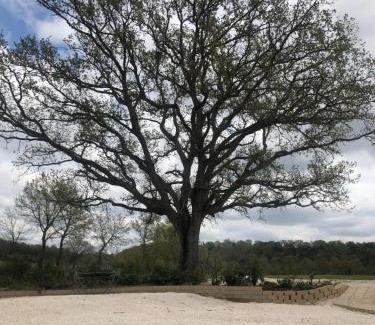 Sorano House | Agriturismo Antiglia