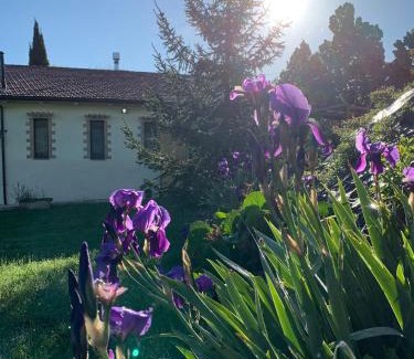 Valfabbrica House | Agriturismo Arcobaleno Assisi
