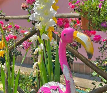 Valfabbrica House | Agriturismo Arcobaleno Assisi