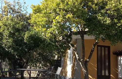 Borganzo Apartment | Agriturismo Ardissone Thomas