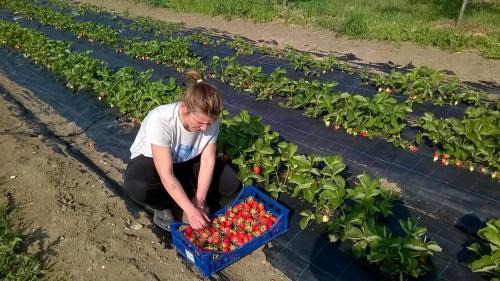Fiorenzuola d'Arda House | Agriturismo Arte Contadina