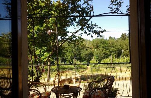 Terranuova Bracciolini House | Agriturismo Campo del Monte