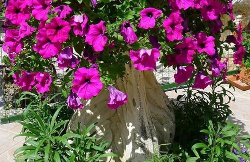 Valfabbrica House | Agriturismo Collemaggio