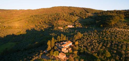 Fiesole House | Agriturismo Fattoria Poggio di Fiesole