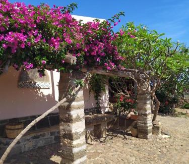 Ustica House | Agriturismo Hibiscus