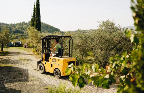 Sarzana House | Agriturismo Il Monticello