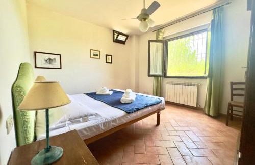 Terranuova Bracciolini House | Agriturismo il Pino - Bioagricoltura