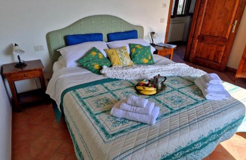 Terranuova Bracciolini House | Agriturismo il Pino - Bioagricoltura