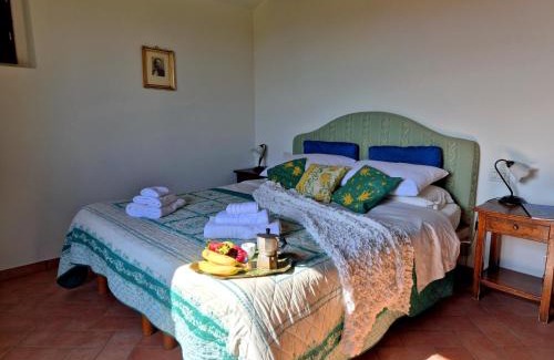 Terranuova Bracciolini House | Agriturismo il Pino - Bioagricoltura