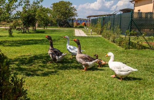 Grosseto House | Agriturismo il Pollino