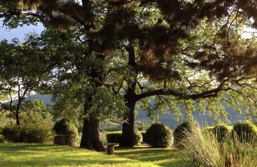 Vaiano House | Agriturismo Il Ponticello